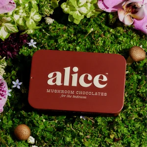 Alice mushroom chocolates