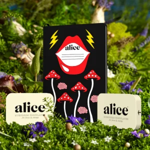 Alice mushroom chocolates