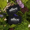 Alice mushroom chocolates