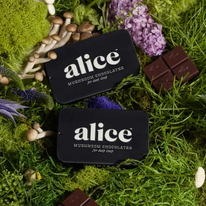 Alice mushroom chocolates