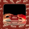 Alice mushroom chocolates