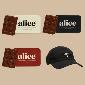 Alice mushroom chocolates