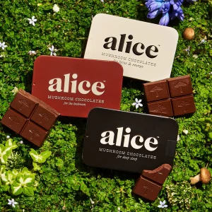 Alice mushroom chocolates