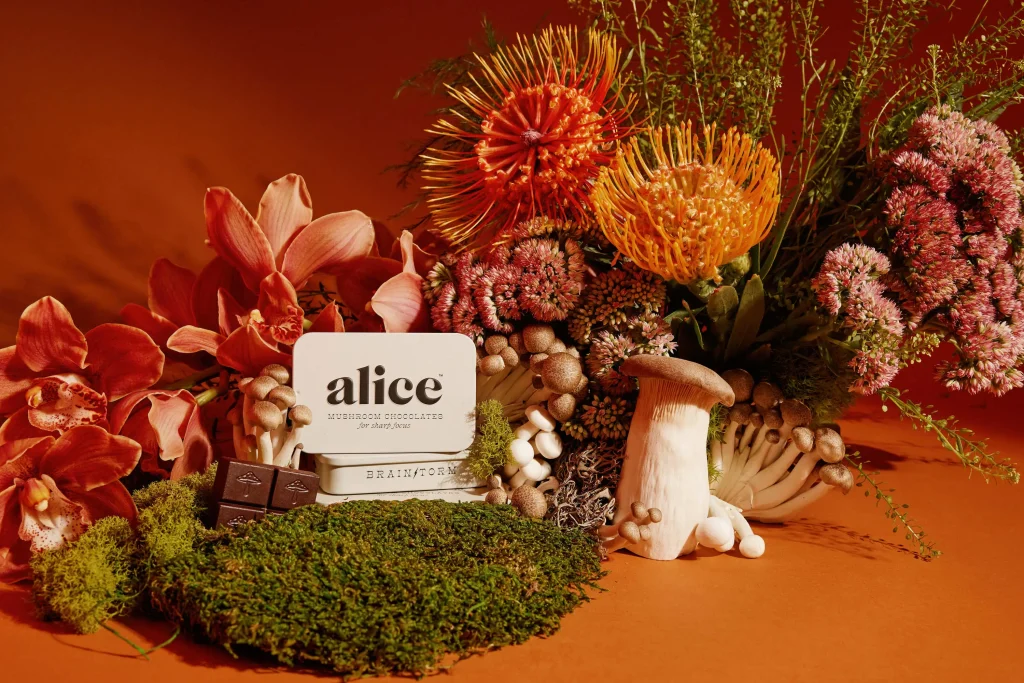 Alice mushroom chocolates