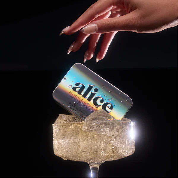 Alice mushroom chocolates