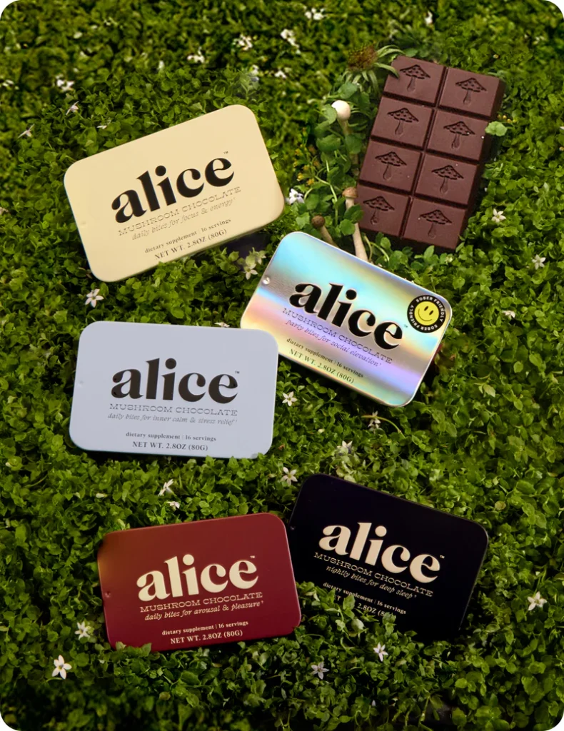 Alice mushroom chocolates