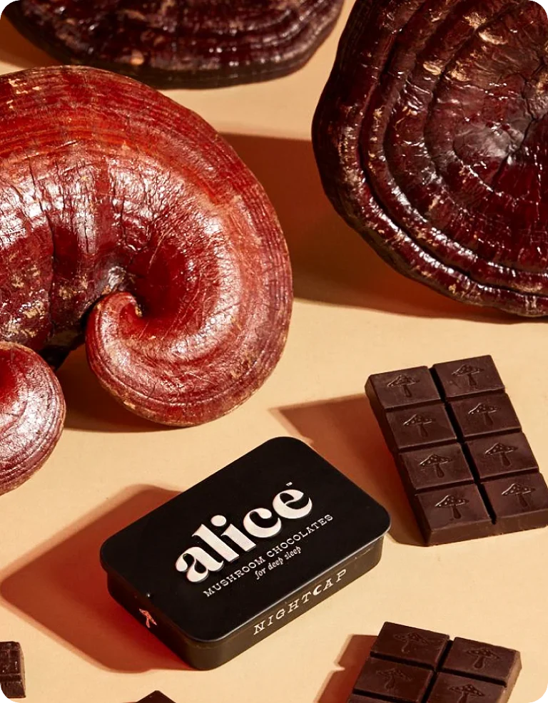 Alice mushroom chocolates