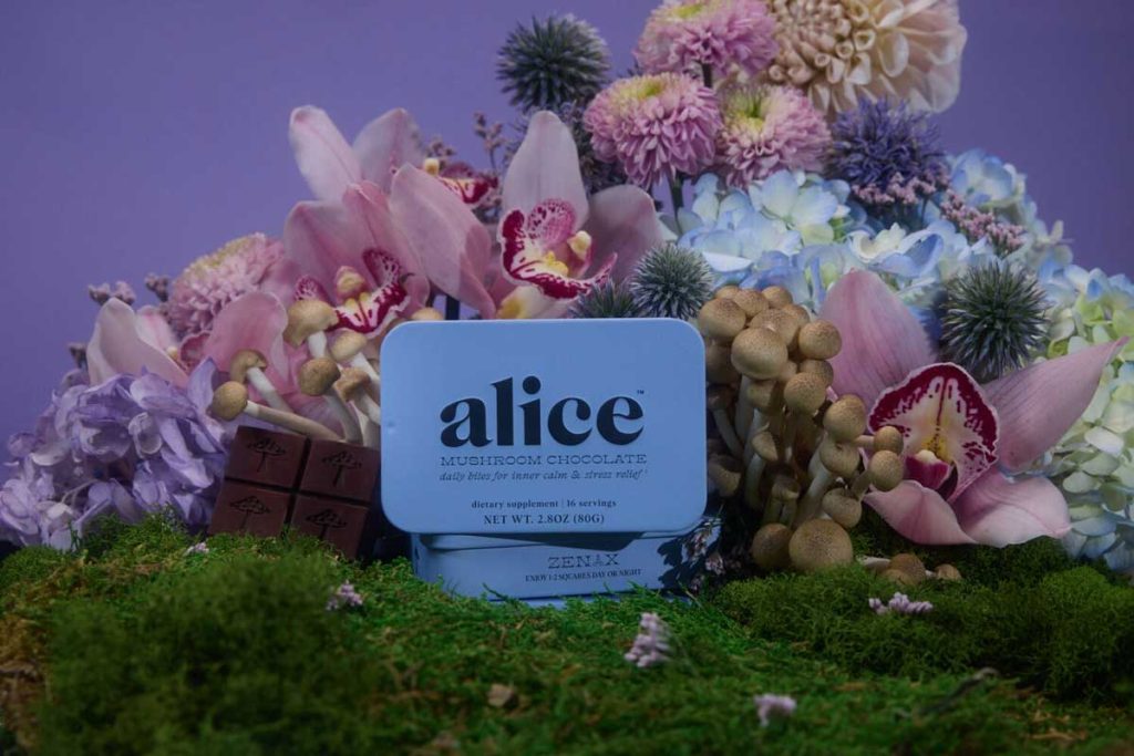 Alice mushroom chocolates
